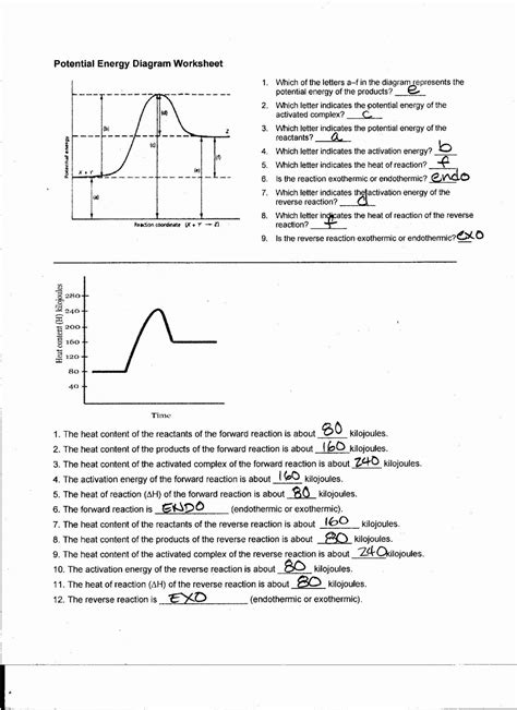 Potential Energy Diagrams Worksheet Printable And Enjoyable Learning