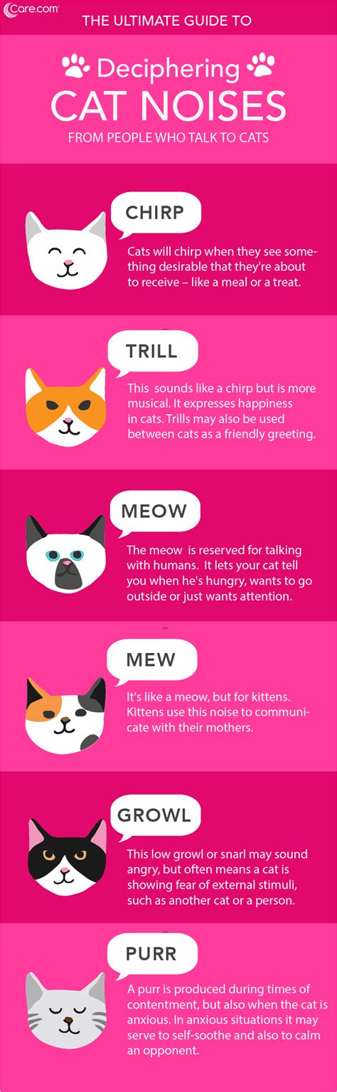 Cat Language 101 Learning Cat Noises Cat Noises Cat Language Cat Care