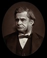 Thomas Henry Huxley. Photograph by Lock & Whitfield. | Wellcome Collection