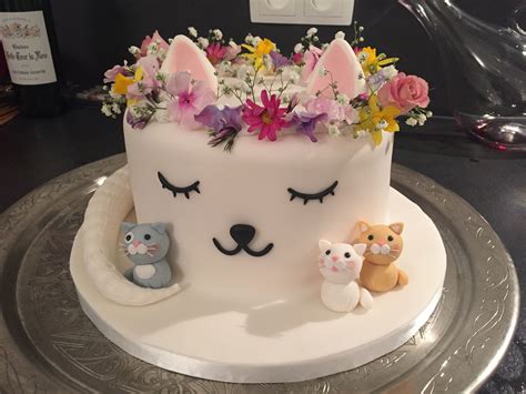 Cat Cake Cat Cake Birthday Kitten Birthday Party Birthday Parties