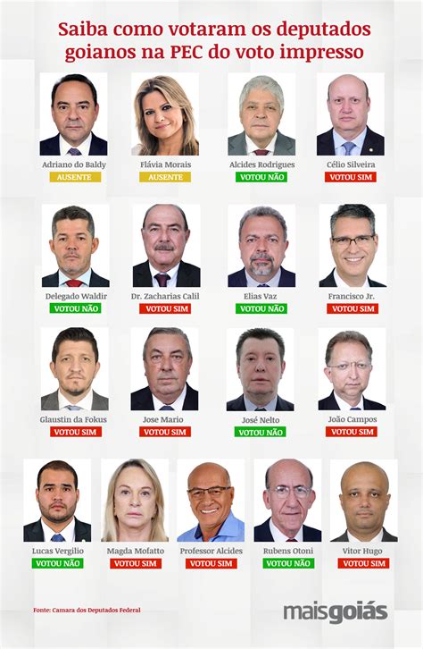 Voto Impresso Veja Como Os Deputados Federais Goianos Votaram