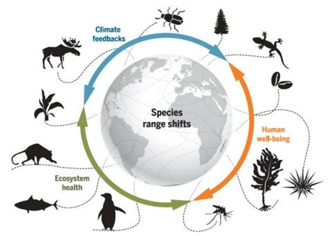 How Can We Monitor Mass Migrations Globally And Conserve Biodiversity