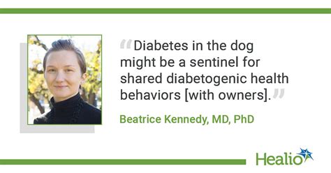 Type 2 diabetes risk may be higher for owners of dogs with ...
