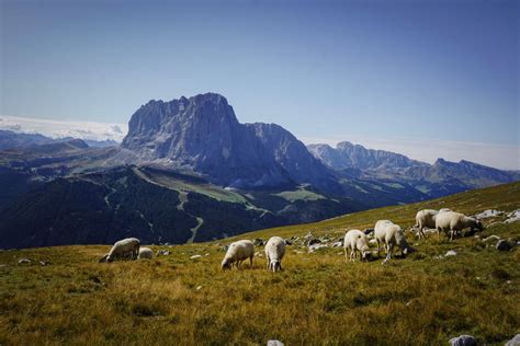 Ultimate Guide To Puez Odle Nature Park Puez Geisler Italian Dolomites
