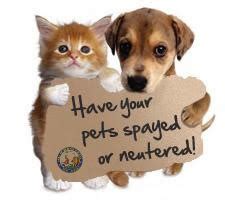 Spay/neuter services for owned dogs and cats. Spay & Neuter