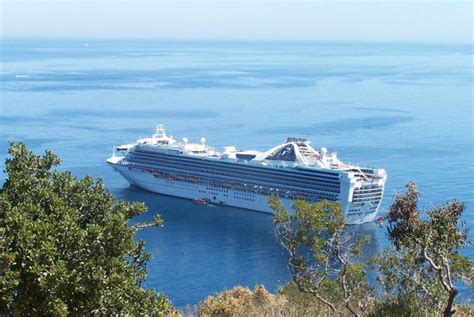 Catalina Island California Cruise Ship Schedule 2020 Crew Center