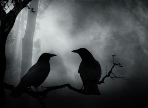 A Murder Of Crows By M J Nevermore On Deviantart