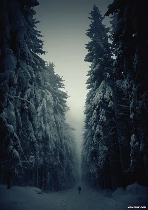 Image Result For Winter Creepy Winter Landscape Photography Winter