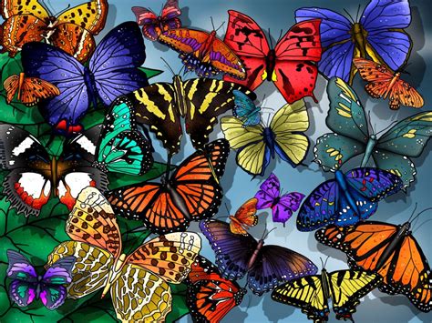 Best hd wallpapers of 3d, desktop backgrounds for pc & mac, laptop, tablet, mobile phone. 3D Butterflies Wallpaper | HD 3D and Abstract Wallpapers ...