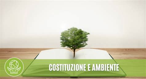 la tutela dell ambiente entra nella costituzione italiana pqa