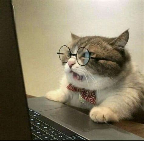 A Cat Wearing Glasses And Sitting On Top Of A Laptop Computer With Its