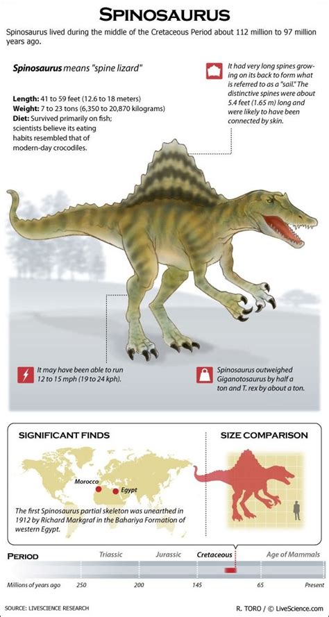 157 Best Dinosaur And Paleontology Party Images On Pinterest Dinosaurs