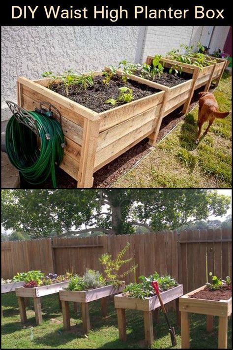Add This Inexpensive Waist High Planter Box To Your Garden Vegetable