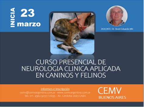 Curso Presencial De Neurología Clínica En Caninos Y Felinos Cemv