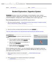 This is the human karyotyping student exploration document translated into french. JHarmon Photosynthesis Lab.pdf - Name_Josh Harmon Date Student Exploration Photosynthesis Lab ...
