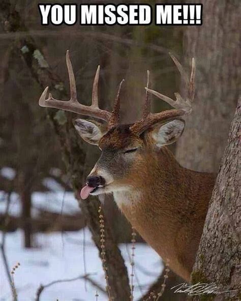 Happy Birthday Deer Hunter Images