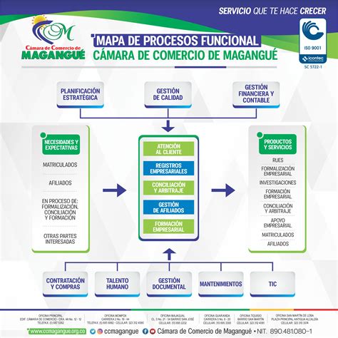 Mapa De Procesos Funcionales My Xxx Hot Girl