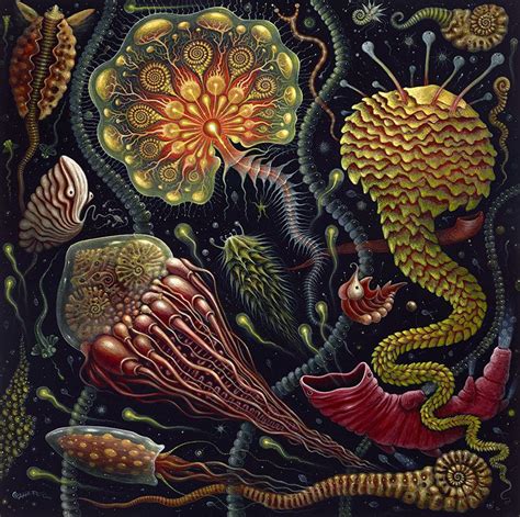 Jellies Psychedelic Art On Canvas Art Collider