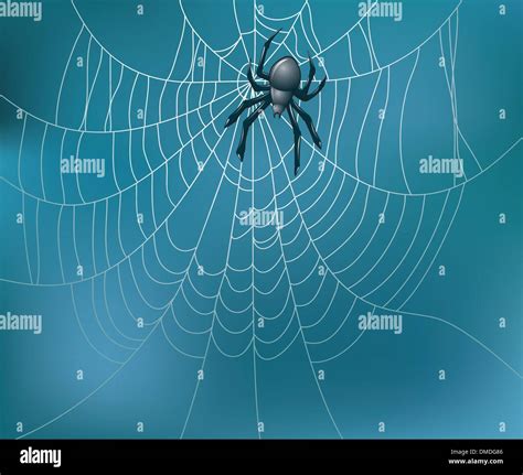 Vector Spider And Web Stock Vector Image And Art Alamy