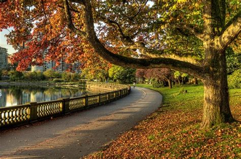 Best Displays Of Fall Foliage In Vancouver Inside Vancouver