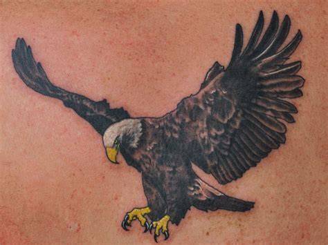 Dark Grey Ink Flying American Bald Eagle Tattoo Design