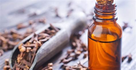 15 Impressive Health Benefits Of Clove Oil Natural Food Series