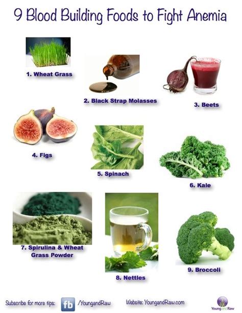 Blood Building Foods Increase The Production Of Red Blood Cells And