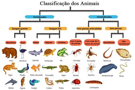 Quantos Generos E Quantas Especies Diferentes Aparecem Nessa Lista