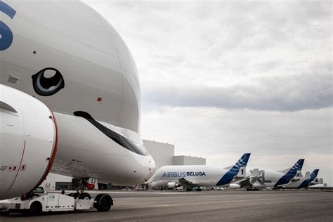 Made for the heaviest and biggest parts at the time the airbus a340 wings. El tercer Airbus Beluga XL se presenta | Fly News