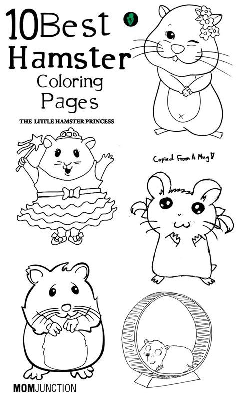 He can play alone as long as there are objects that can be played and can clean his own body. Top 25 Free printable Hamster Coloring Pages Online ...