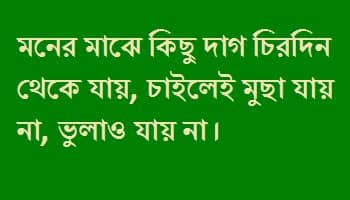 This app has different languages videos and these videos are of small size. Bangla status for whatsapp funny status in bengali font ...