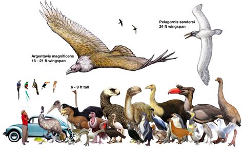 Prehistoric Flightless Birds Prehistoric Animals Extinct Animals