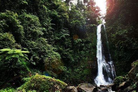 Gitgit Waterfall Visit This Heaven In The Woods Of Bali