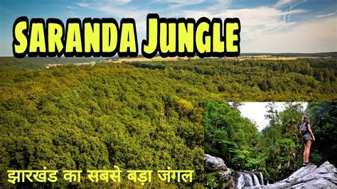 Largest Forest Of Jharkhand Saranda Forest सारंडा वन Youtube