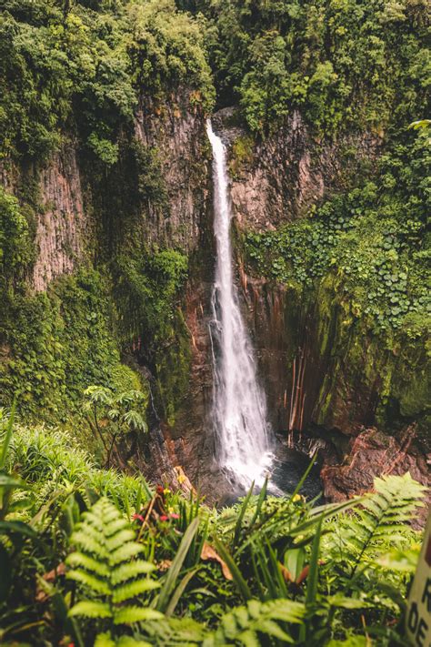 Costa Rica Hidden Gems Catarata Del Toro And Blue Falls Simply Wander