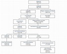 Wer war alles in der Familie von Ludwig XVI? (Schule, Geschichte ...