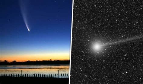 Halleys Comet Viewing Orionid Meteor Shower Peaks This Week But When