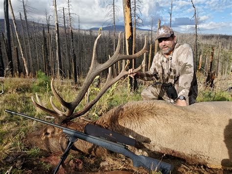 Nm Elk Kentucky Hunting