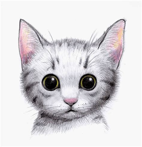 Cat By Don234a Cute Drawings Cat Painting Cute Animal Drawings
