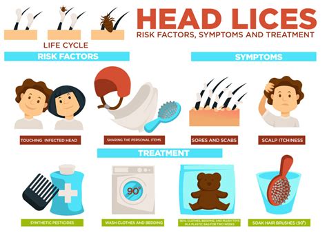 All You Need To Know About Head Lice Direct Primary Care Of Boca