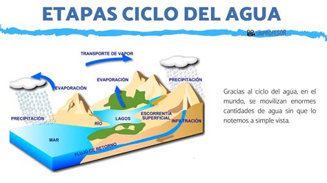 5 Etapas Del Ciclo Del Agua Resumen Con ImÁgenes Para Niños
