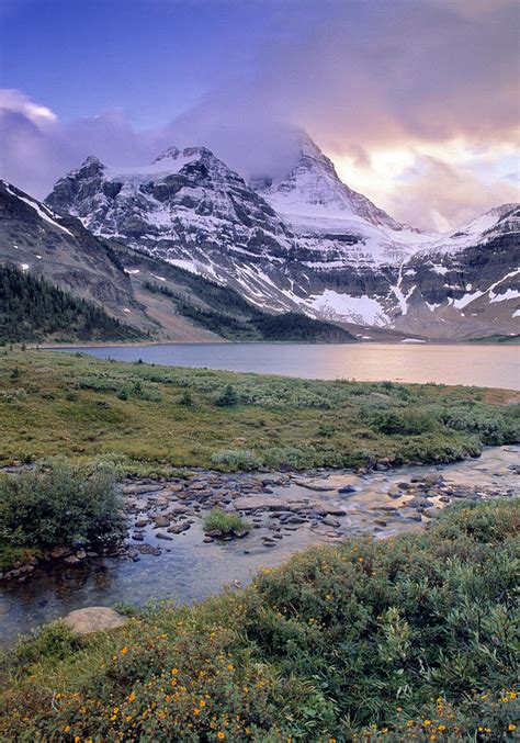 Magog Lake And Mt Assiniboine Mount Photograph By Darwin Wiggett