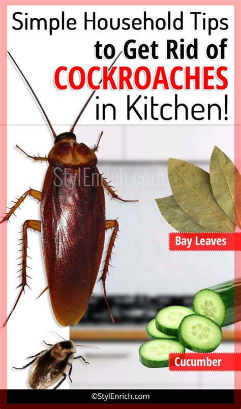 How To Get Rid Of Cockroaches Household Hacks Cockroaches Natural Home Decor