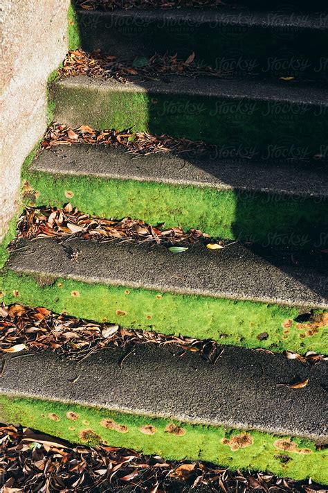 Moss Covered Stairs And Shadow By Stocksy Contributor Rialto Images