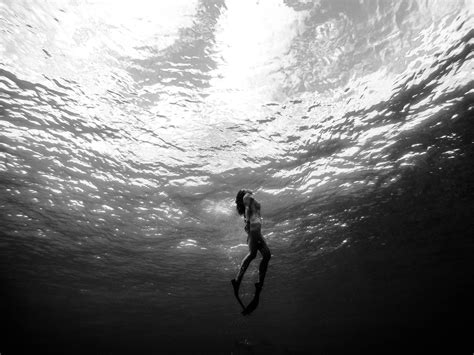 Wallpaper Id 741783 Water Undersea Swim Leisure Activity Adventure Photography Sea