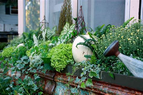 Fall Window Box Ideas And Pictures