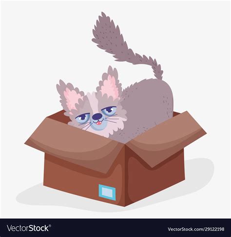 Cute Cat In Box Domestic Cartoon Animal Pets Vector Image