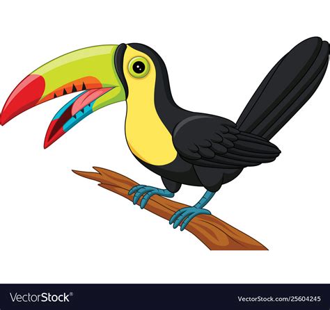 Cartoon Toucan Bird Isolated On White Background Vector Image