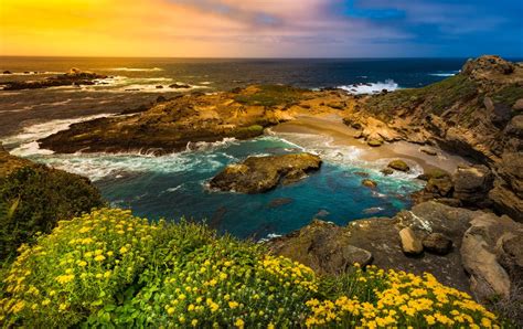 Point Lobos Snr Sea Lion Cove Carmel Ca California Beaches