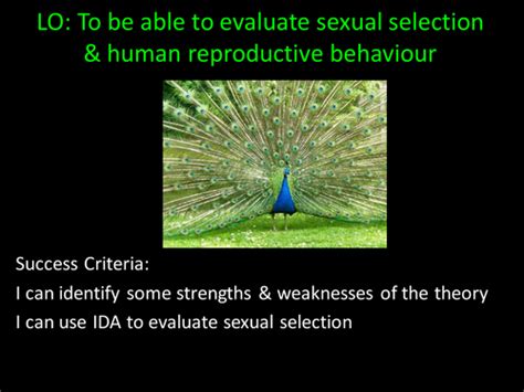 psychology sexual selection evolutionary explanation of relationships teaching resources